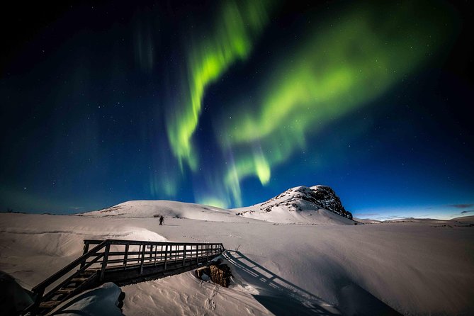 Rovaniemi Northern Lights Photography Small-Group Tour - Viewpoints and why “multiple stops” can matter