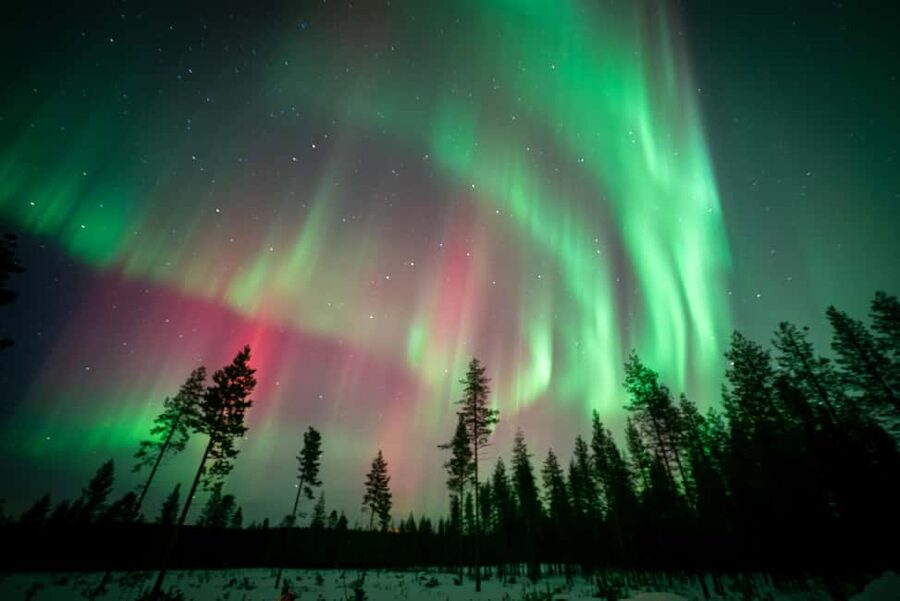 Rovaniemi: Northern Lights Photography Tour & BBQ - What you get after the tour: emailed photos for free