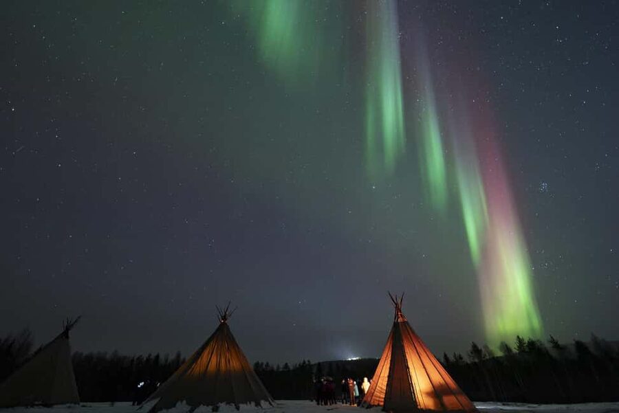 Rovaniemi: Northern Lights Photography Tour & BBQ - Price and value: $104 for a pro, a BBQ, and photo delivery