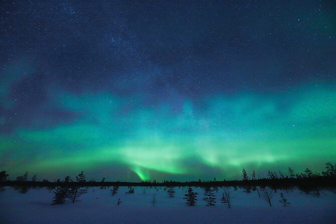 Rovaniemi: Northern Lights Pro Guaranteed - Unlimited Distance - Weather-proofing: how to dress and what to bring for long waits