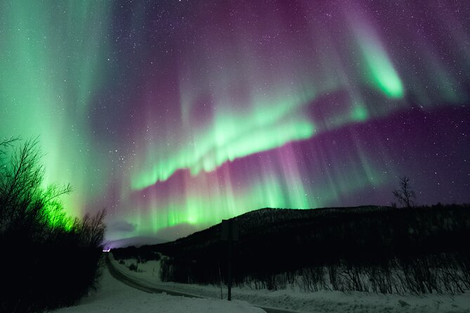Rovaniemi: Northern Lights Pro Guaranteed - Unlimited (PRIVATE) - Northern Lights Pro Guaranteed: What This Private Hunt Really Means