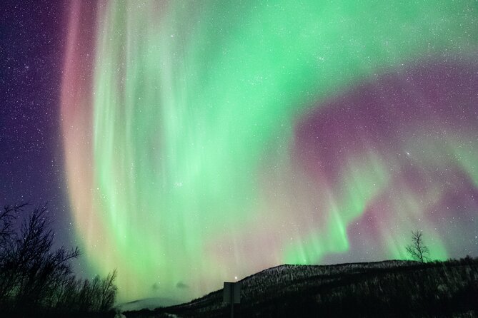 Rovaniemi: Northern Lights Pro Guaranteed - Unlimited (PRIVATE) - Chasing the aurora: weather tracking and where they go