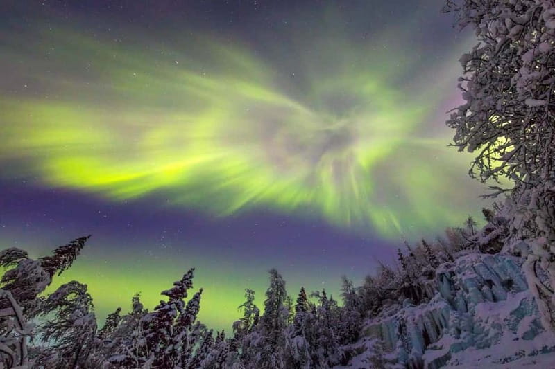 Rovaniemi: Northern Lights Quad Bike Tour - The ATV ride in the Arctic forest: what you will actually do