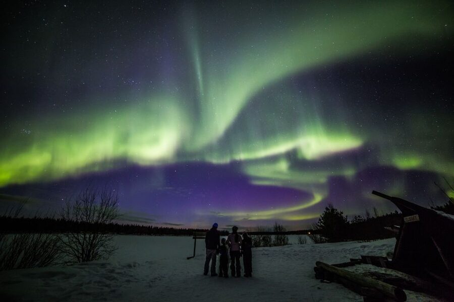 Rovaniemi: Northern Lights Sledge Ride - Key Points to Know Before You Go