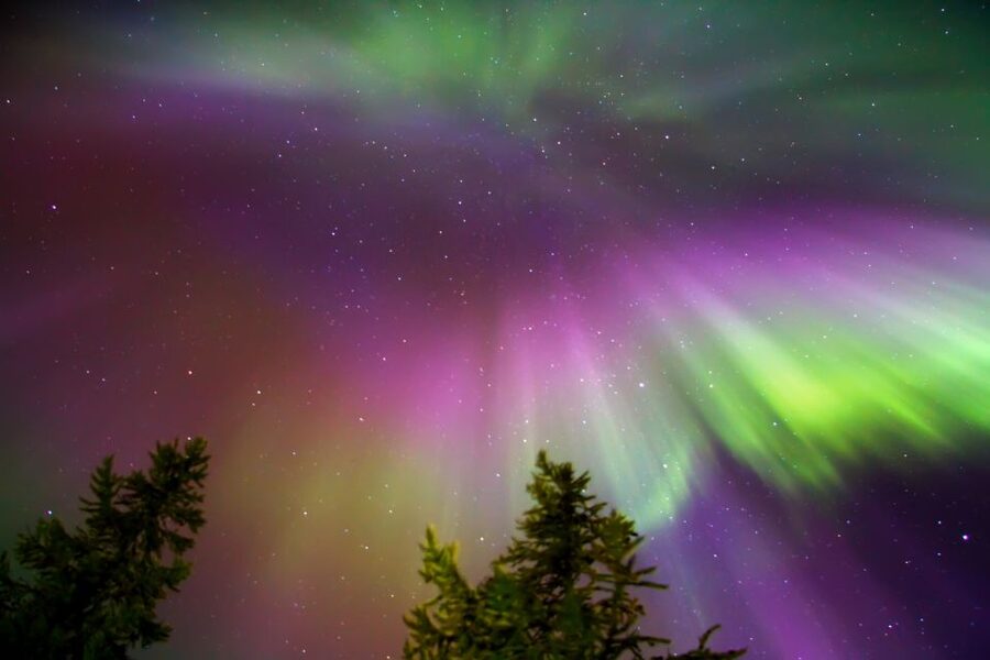 Rovaniemi: Northern Lights Sledge Ride - Dress Like You Mean It: Gear Included, Still Bring Warmth