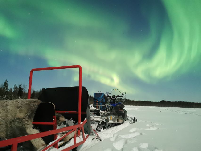 Rovaniemi: Northern Lights Sledge Ride - Arctic Forest Sleigh Ride: Quiet, Views, and the Real Cold Factor