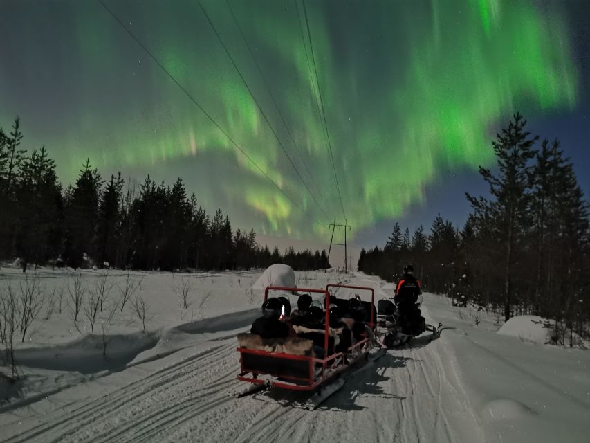 Rovaniemi: Northern Lights Sledge Ride - Who Should Book This Tour (And Who Should Skip It)