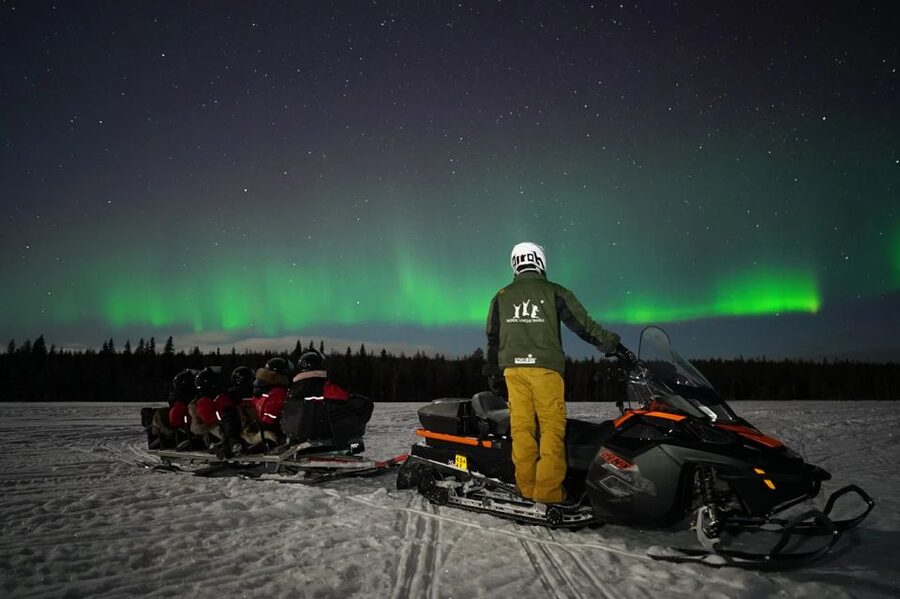 Rovaniemi: Northern Lights Sleigh Ride - Warm Snacks and Lapland Comfort: Blueberry Juice Works