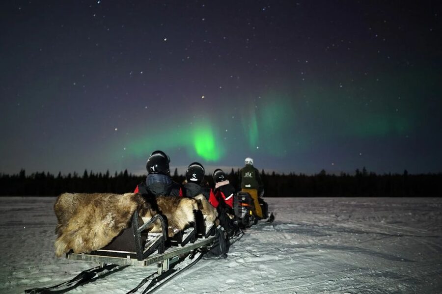 Rovaniemi: Northern Lights Sleigh Ride - Price and Value: Is $58 Worth It?