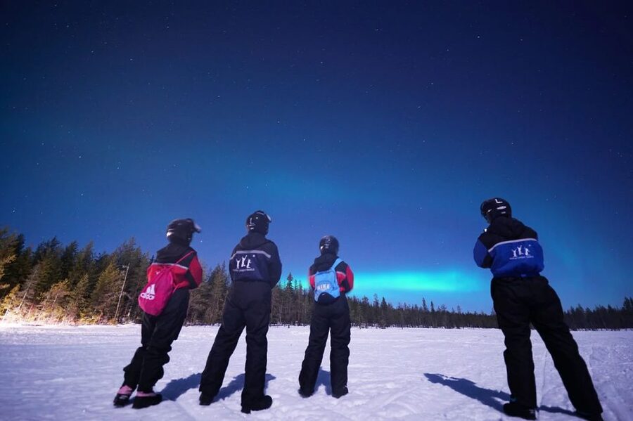 Rovaniemi: Northern Lights Sleigh Ride - Who This Northern Lights Sleigh Ride Suits Best