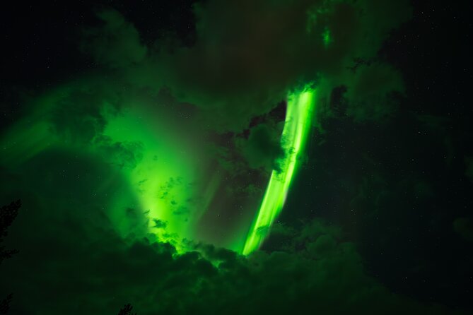 Rovaniemi: Northern Lights Small Group Money-Back Guarantee - Key things to know before you go