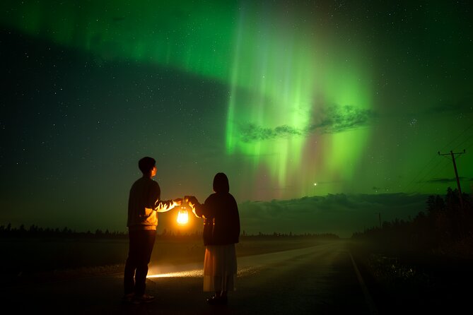 Rovaniemi: Northern Lights Small Group Money-Back Guarantee - A Northern Lights hunt built around driving, not luck