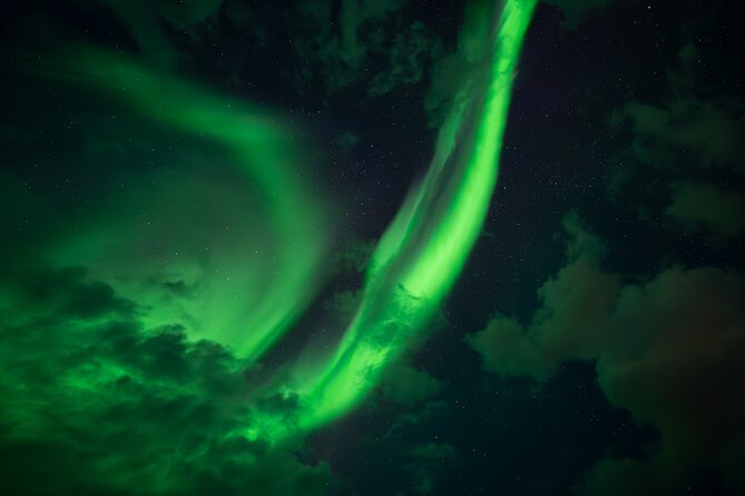 Rovaniemi: Northern Lights Small Group Money-Back Guarantee - Who this aurora hunt is best for