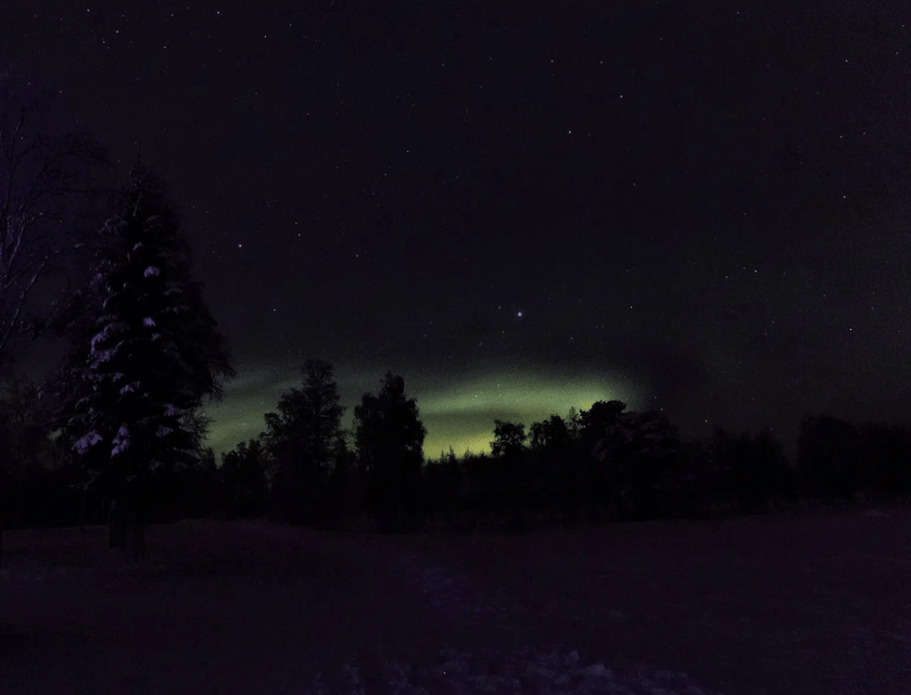 Rovaniemi: Northern Lights Snowmobile Safari with Campfire - Key things you’ll remember from this snowmobile safari