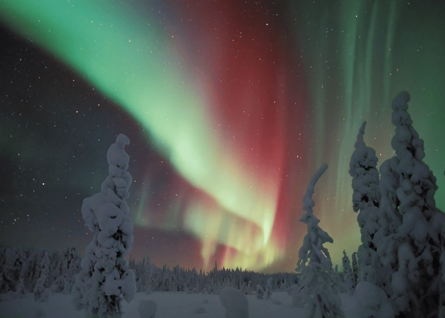 Rovaniemi: Northern Lights Snowmobile Safari with Campfire - Why this Rovaniemi snowmobile and Northern Lights combo works