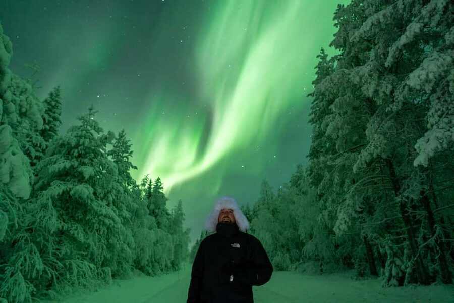 Rovaniemi: Northern Lights Tour - 100% Money Back Guarantee - Price and value: what you are actually paying for