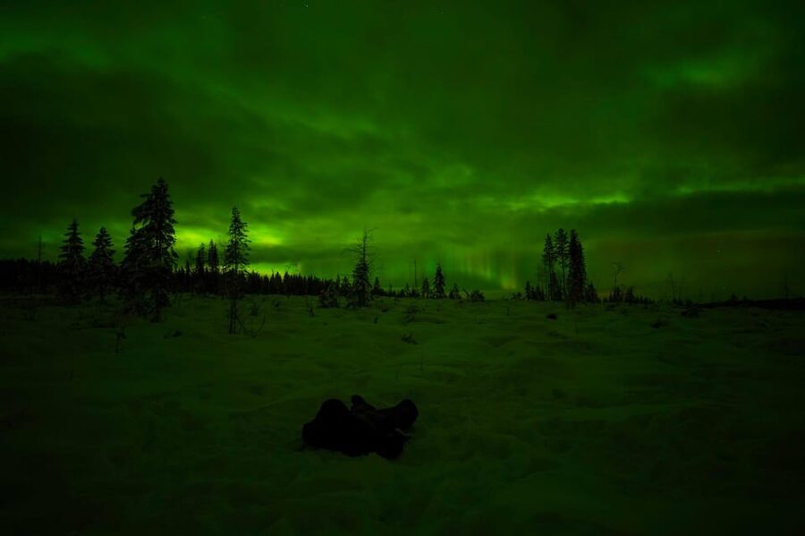 Rovaniemi: Northern Lights Tour at the Campfire - Key things I’d note before you go