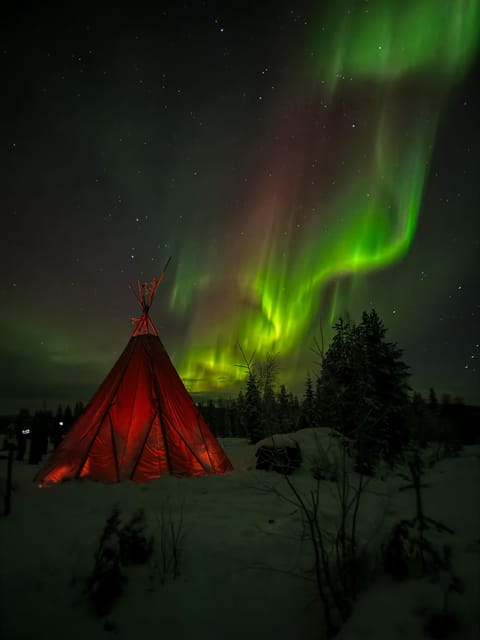 Rovaniemi: Northern Lights Tour at the Campfire - Nature Rules: No Toilets on Site
