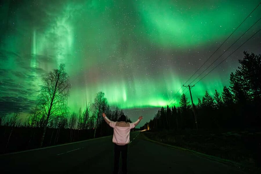 Rovaniemi: Northern Lights Tour - Guaranteed with Photos - Professional aurora photos: less stress, better results