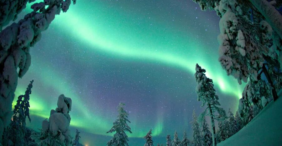 Rovaniemi: Northern Lights Tour with Electric Snowmobiles - The 3-hour safari flow: hill top aurora viewing, fire stop, and sky time