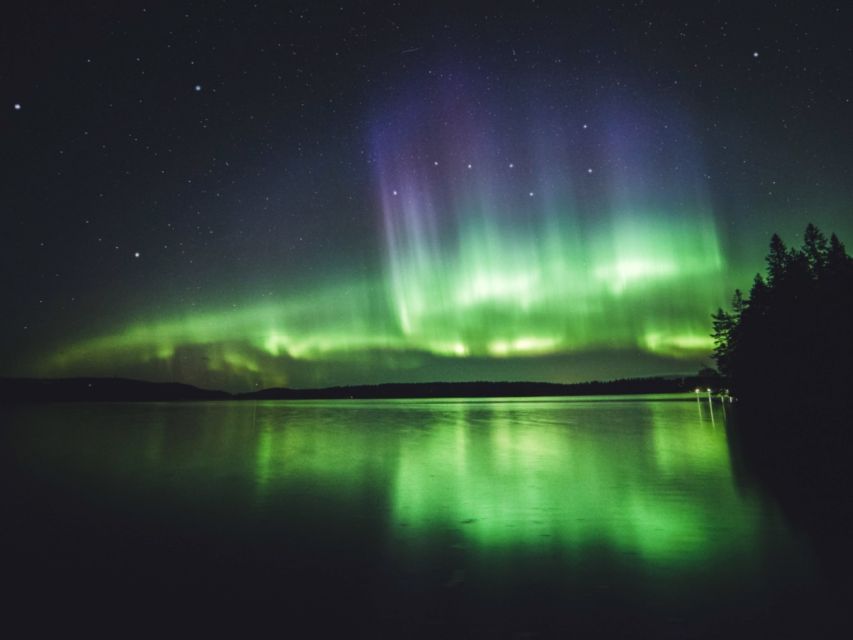 Rovaniemi: Northern Lights Tour with Guaranteed Sightings - Should You Book This Guaranteed Northern Lights Tour in Rovaniemi?