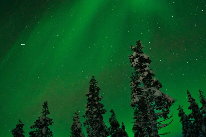 Rovaniemi: Northern Lights Tour - Your night on the road: what happens during the 2-hour hunt