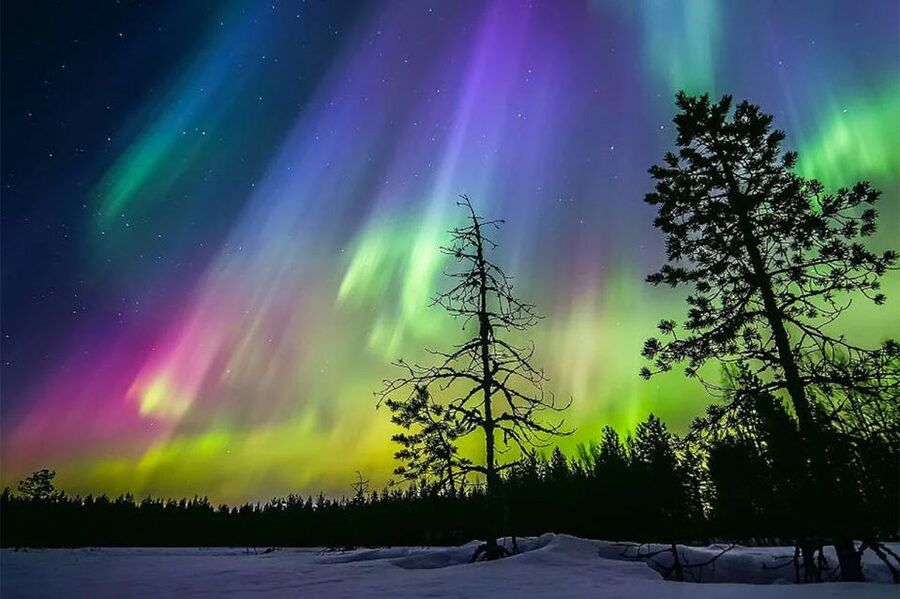 Rovaniemi: Northern Lights Trip with Arctic Sauna & Jacuzzi - A quick practical checklist so you feel ready
