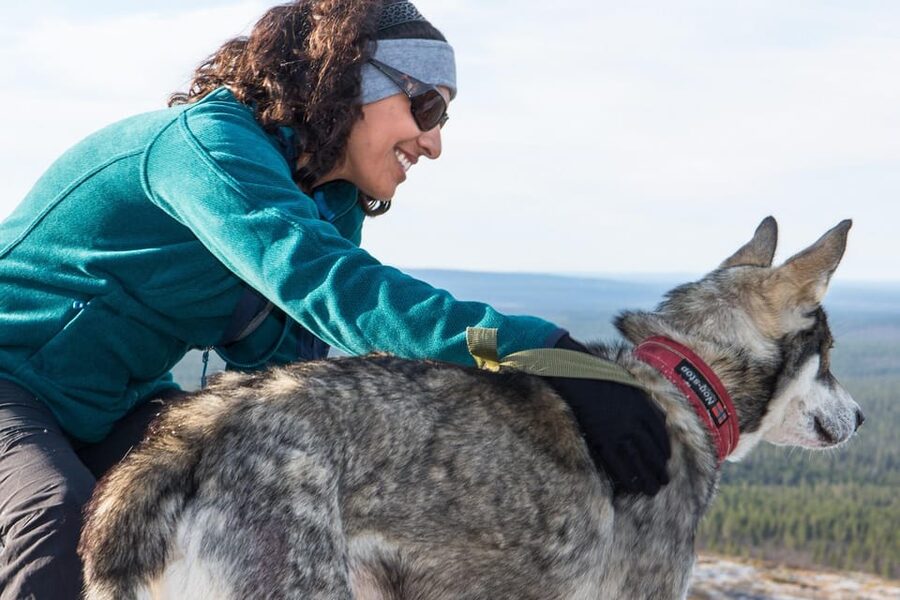 Rovaniemi: One Hour Husky Experience - Key Points At A Glance
