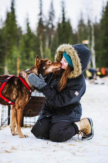Rovaniemi: One Hour Husky Trip with hotel pick up - Price and value, what you’re really paying for