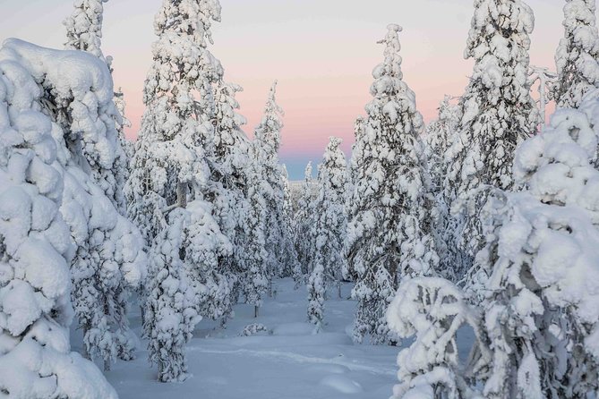 Rovaniemi photography tour - The Guide Part: Who You Might Get and What They Tend to Do