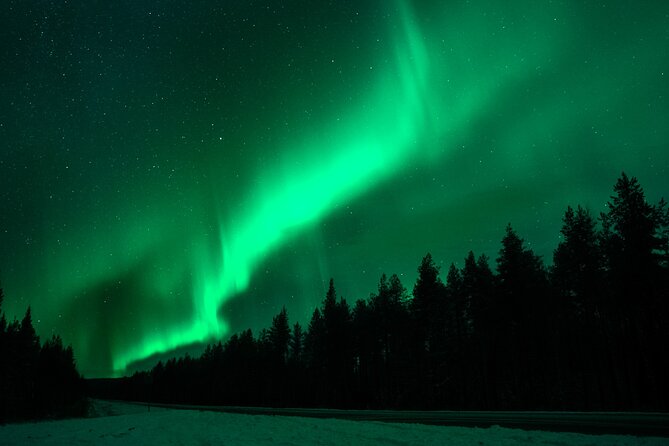 Rovaniemi: Private Aurora Tour with Guaranteed Sightings - Entering The Evening: How This Private Aurora Hunt Actually Works