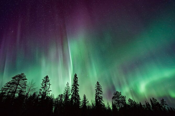 Rovaniemi: Private Aurora Tour with Guaranteed Sightings - Guide Time and the Human Skill of Finding the Moment