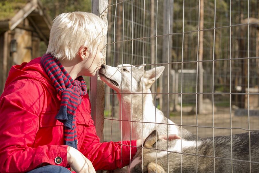 Rovaniemi: Quad Bike Safari, Reindeer & Husky Farm Visit - Husky and reindeer farm visit, the part that makes it feel real