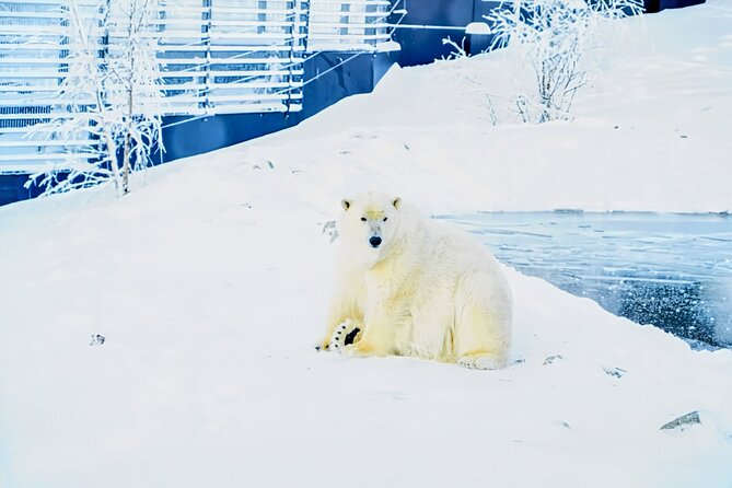 Rovaniemi: Ranua Arctic Wildlife Zoo Park Tour & Hot BBQ lunch - Ranua Zoo in Rovaniemi: Why This Arctic Animal Day Works