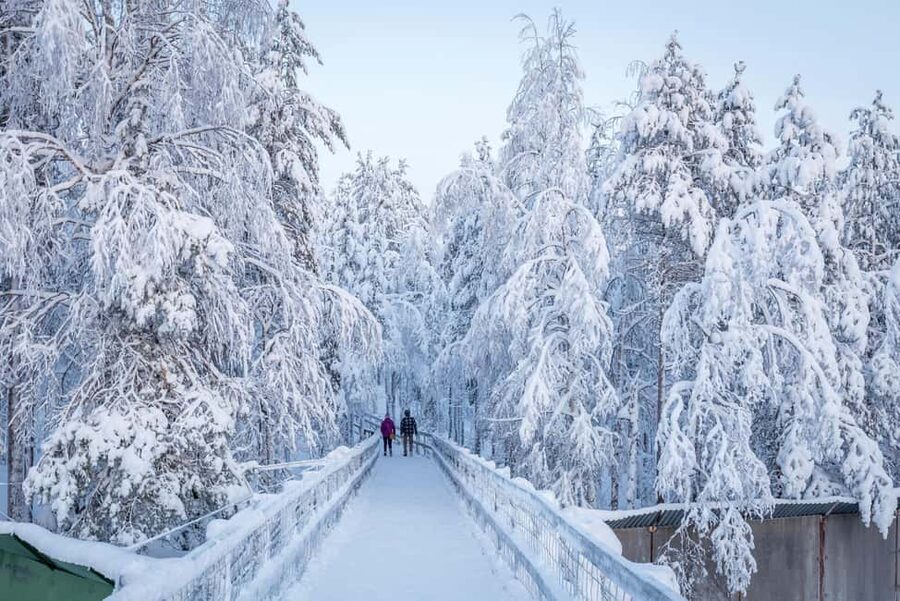 Rovaniemi: Ranua Zoo Wildlife Park Tour with hotel pickup - Who this tour suits best in Lapland
