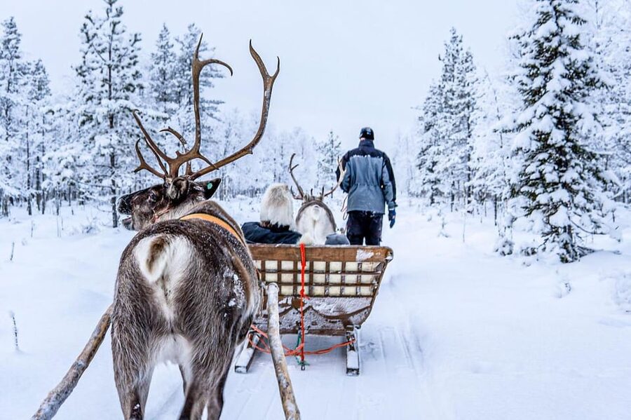 Rovaniemi: Reindeer Farm Visit and Sleigh Ride with transfer - What’s Included (And What’s Not) In A Practical Way