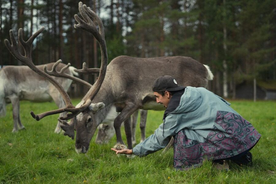 Rovaniemi: Reindeer Farm Visit with Photographer - The short sleigh ride: when snow is enough and when it is not