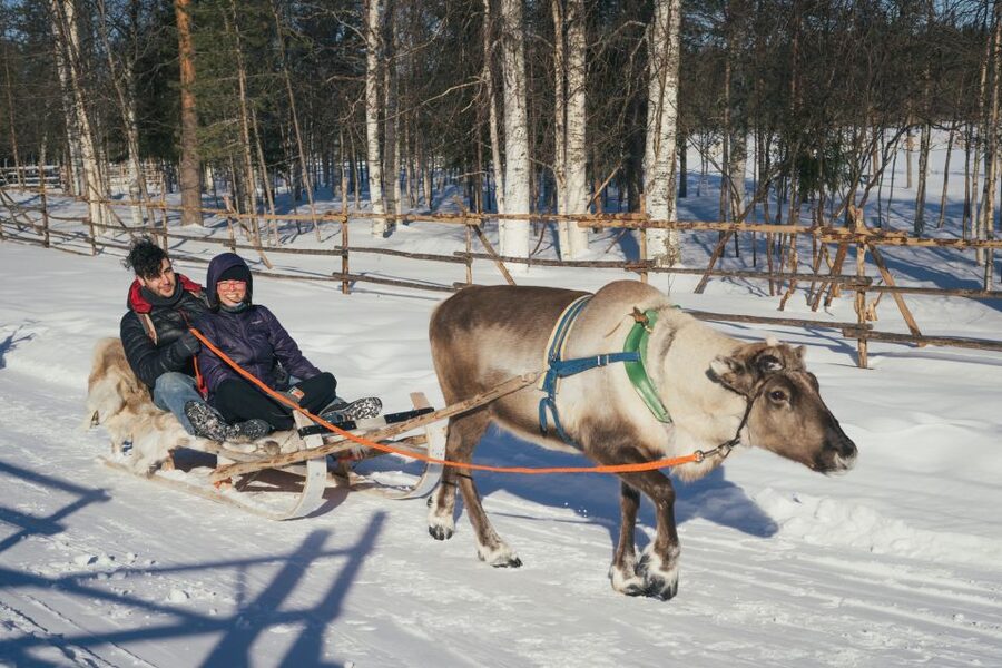Rovaniemi: Reindeer Farm Visit with Photographer - Warm up by the fire: hot drinks, cookies, and why you will enjoy the pacing