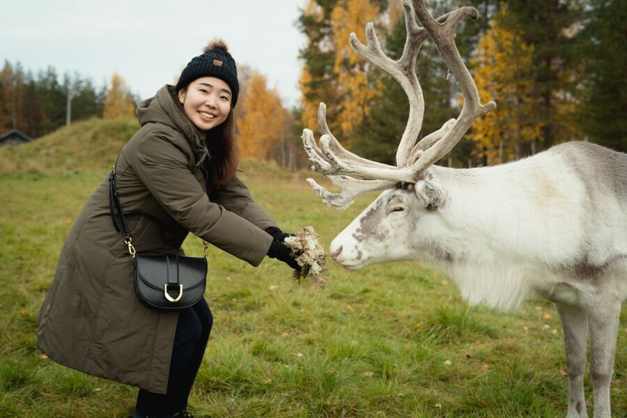 Rovaniemi: Reindeer Farm Visit with Photographer - Your guided farm time: reindeer up close, plus clear farm stories