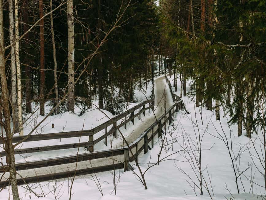 Rovaniemi: Reindeer Farm Visit with Sleigh Ride & Pickup - Key things to know before you go