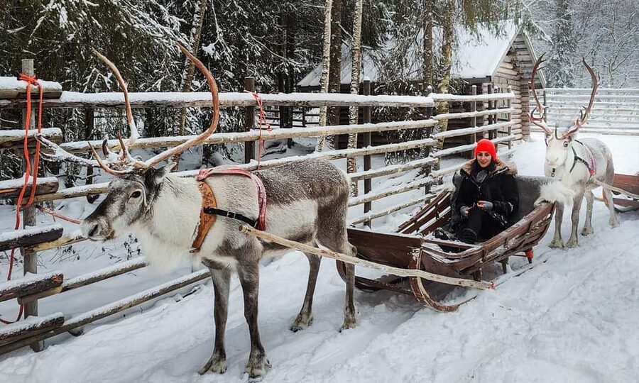 Rovaniemi: Reindeer Farm Visit with Sleigh Ride & Snacks - Warming up in a kota hut with hot drink and cookies