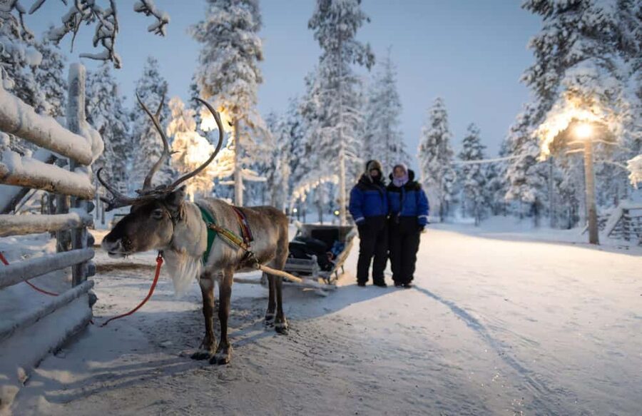 Rovaniemi: Reindeer Farm Visit with Sleigh Ride & Snacks - Getting picked up in Rovaniemi, and why that matters
