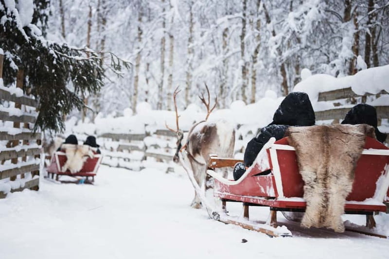 Rovaniemi: Reindeer, Huskies & Santa Claus Village - Key Things You’ll Notice on This Lapland Day