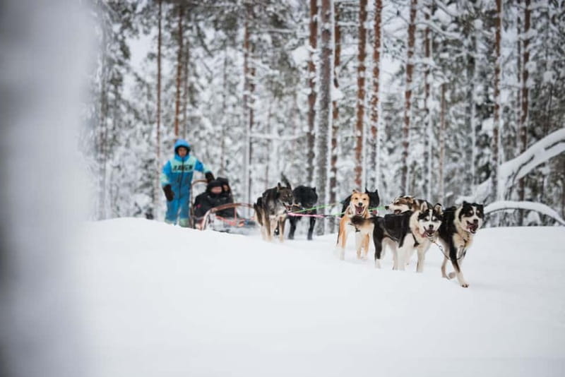 Rovaniemi: Reindeer, Huskies & Santa Claus Village - Santa Claus Village Free Time: Arctic Circle Crossing and Mini Snowmobiling