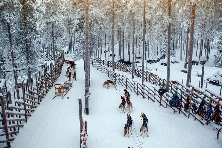 Rovaniemi: Reindeer & Husky Ride with Santa Claus Village - How the Schedule Flows: From Pickup to Arctic Circle Crossing