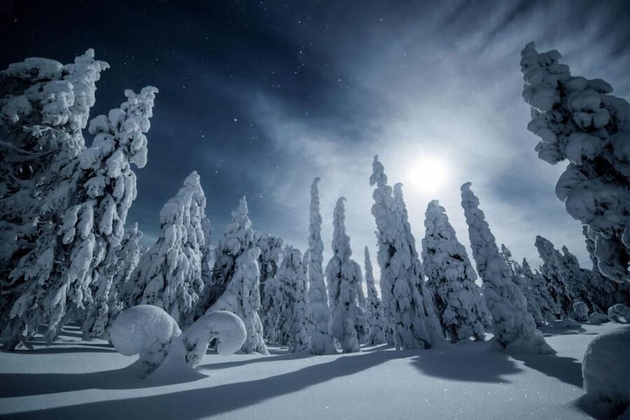 Rovaniemi: Reindeer Safari and Northern Lights Tour - Key things that make this Rovaniemi night safari work