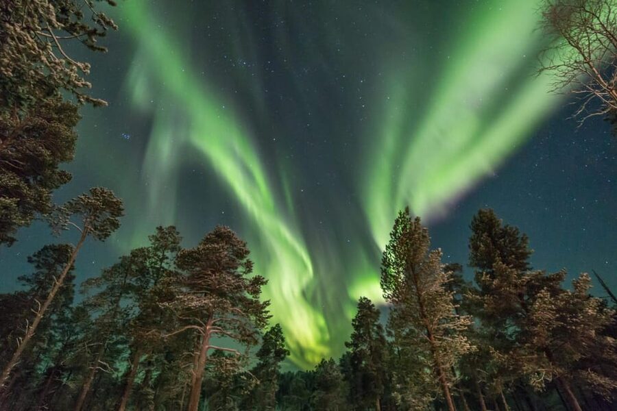 Rovaniemi: Reindeer Safari and Northern Lights Tour - Kammi Cottage stop: hot drinks and a Finnish pastry reset