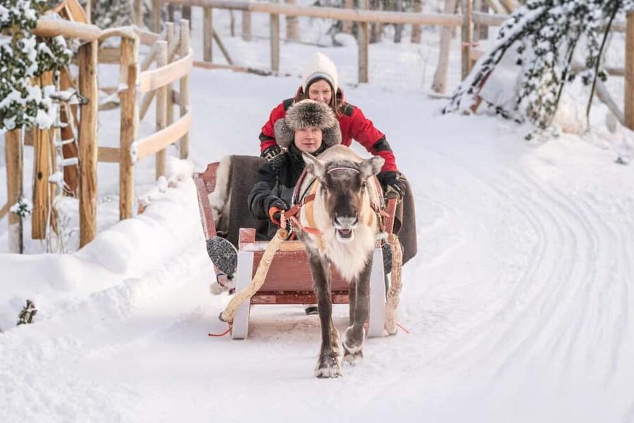 Rovaniemi: Reindeer Safari at 200-Year-Old Farm & Sled Ride - The Working Farm Stop: Meet the Herd Like a Guest