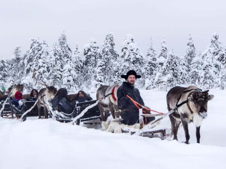 Rovaniemi: Reindeer Safari at 200-Year-Old Farm & Sled Ride - The 2.5 km Sled Ride: Calm, Classic, and Actually Enjoyable