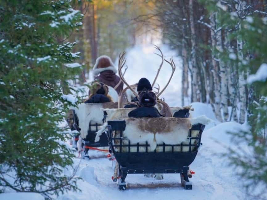 Rovaniemi: Reindeer Safari at 200-Year-Old Farm & Sled Ride - Warm Up in a Kota by the Fire With Hot Drinks